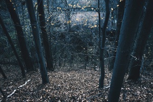 Ludzie i natura – ciągła rywalizacja / People and nature – constant rivalry.