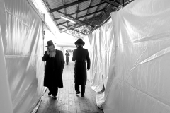 adamek_podrozdoswietosci_59